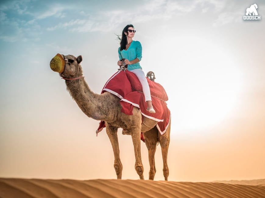 7 Nights in Dubai