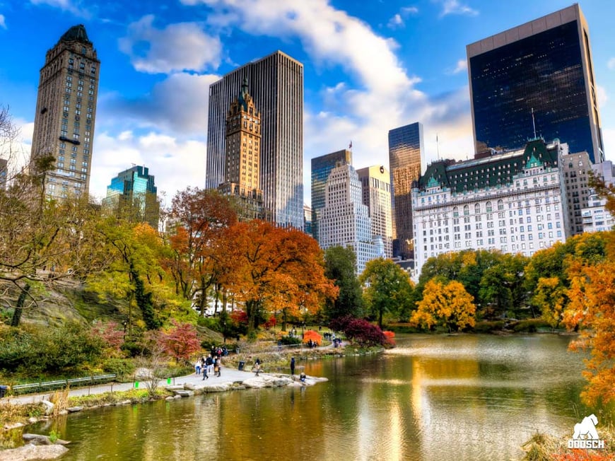 5 Nights Stay in New York
