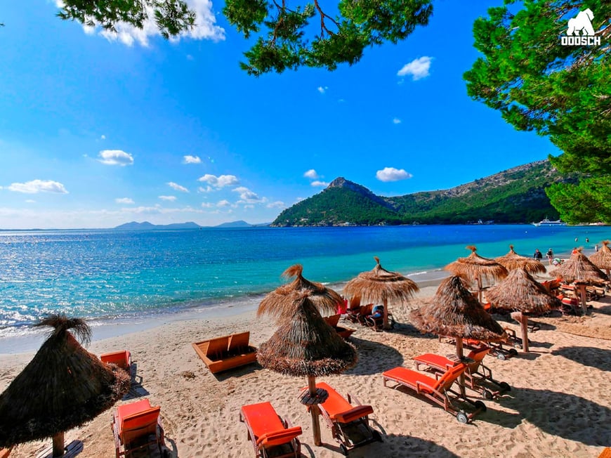 6 nights in Mallorca or £1,500 Cash Alternative